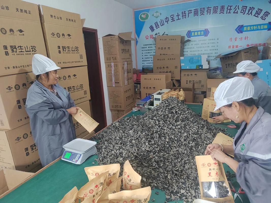 我为家乡农产品代言 康县源头工厂的丰收答卷