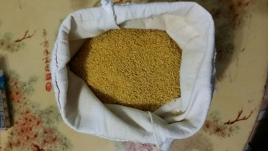 自留种农产品生产基地的农作物收割服务 保障品质与传承的关键环节