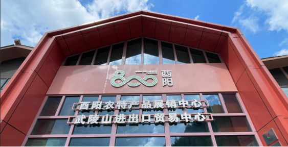 探寻武陵山区优特农产品,"乡村振兴公益行"帮扶调研走进"酉阳800"